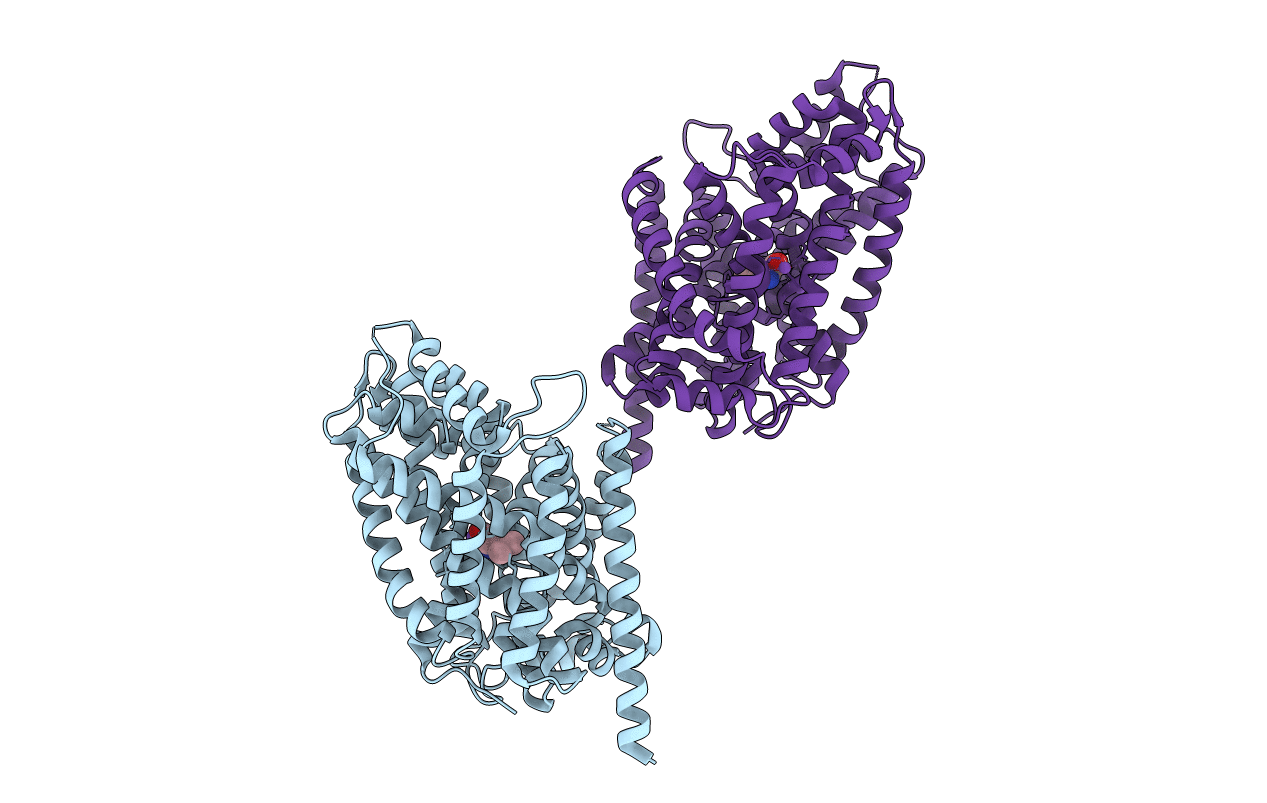 3USI image