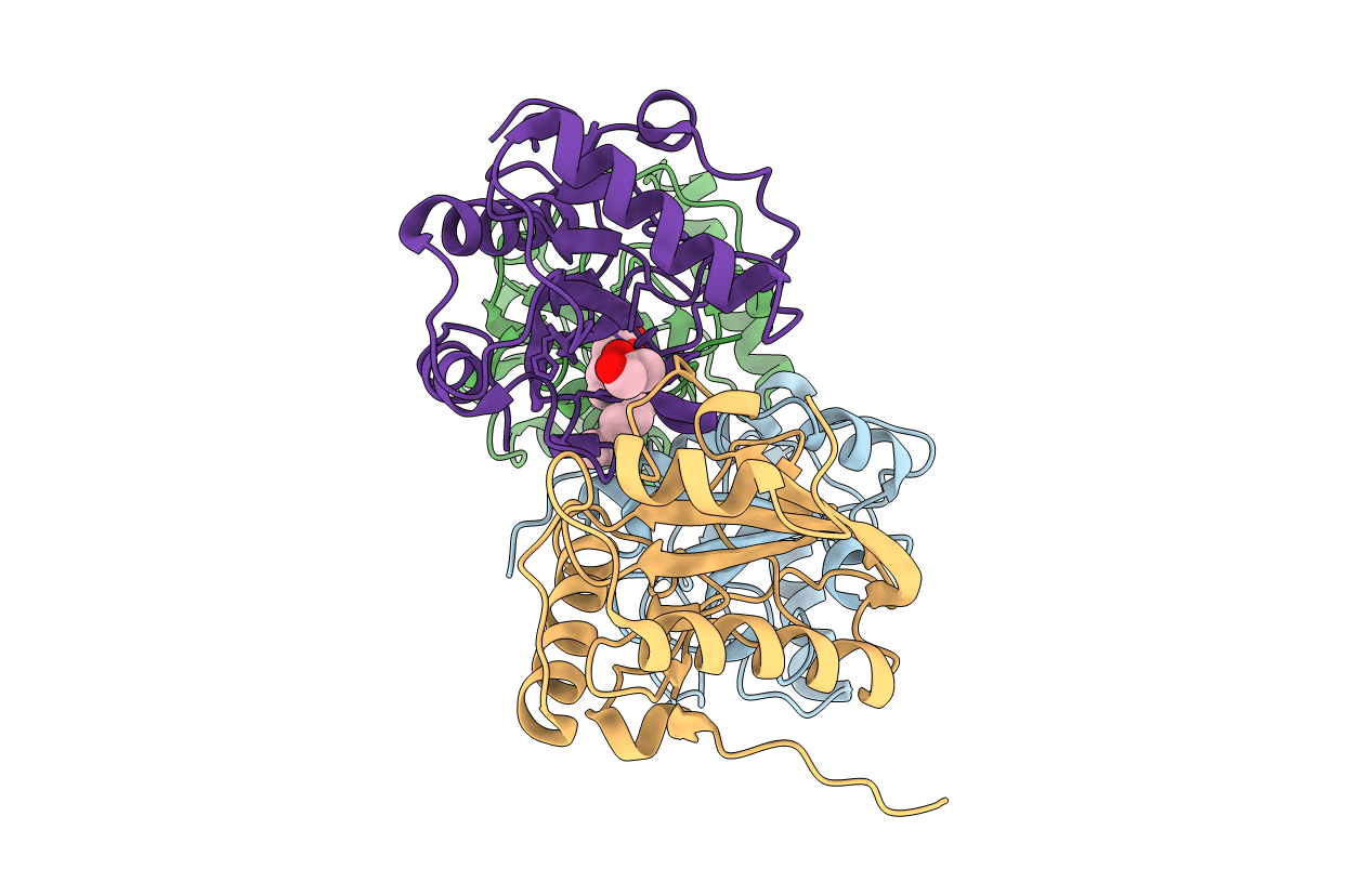 3USX image