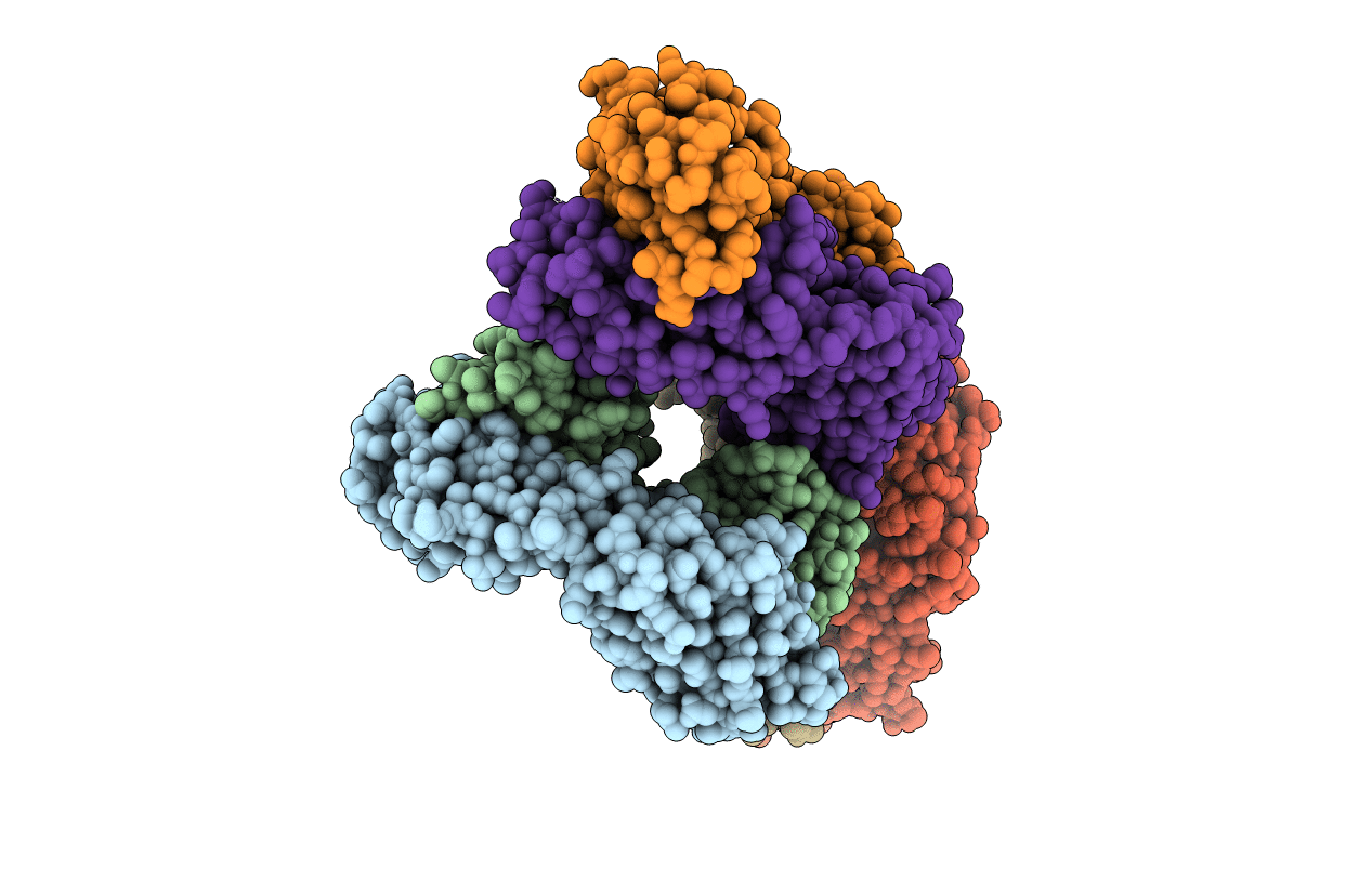3UTZ image