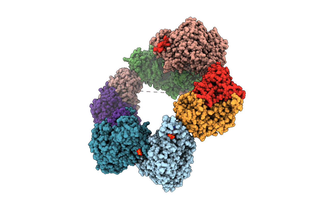 3UUS image
