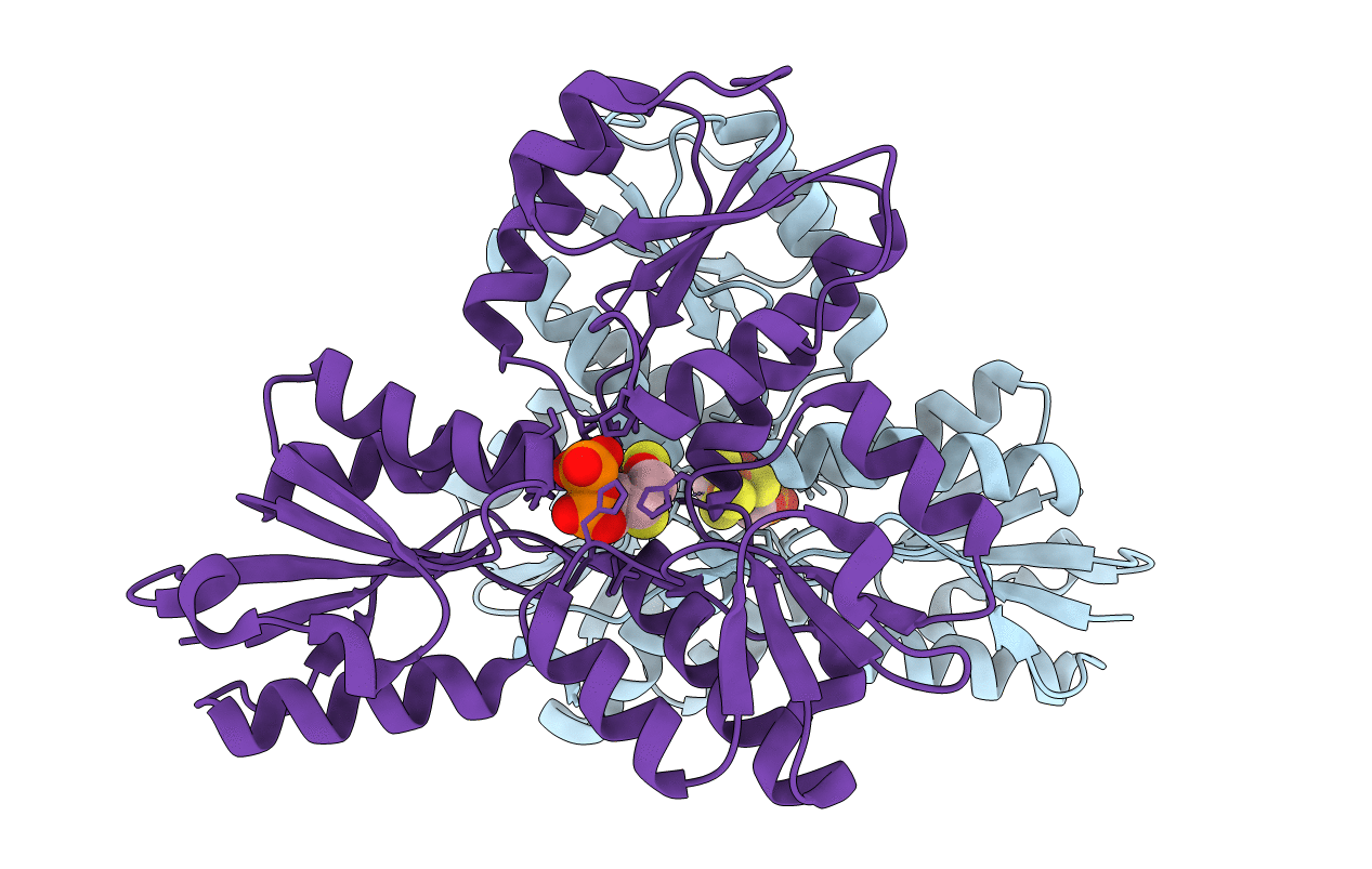 3uv6 image