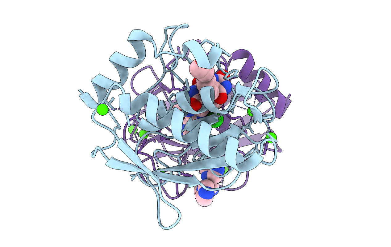 3UVC image