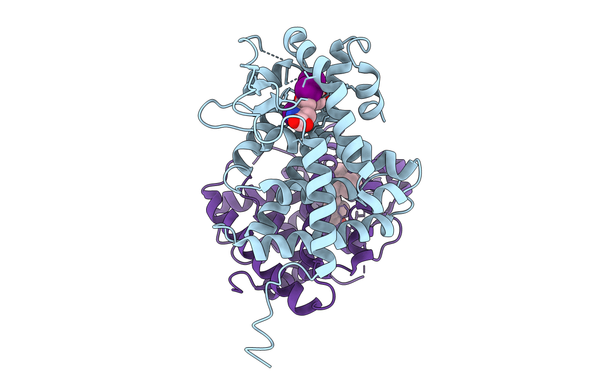 3UVV image