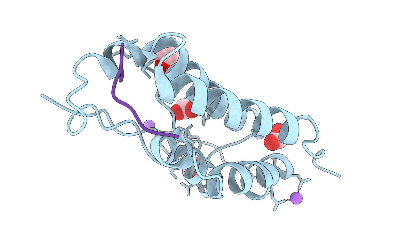 3UVX image