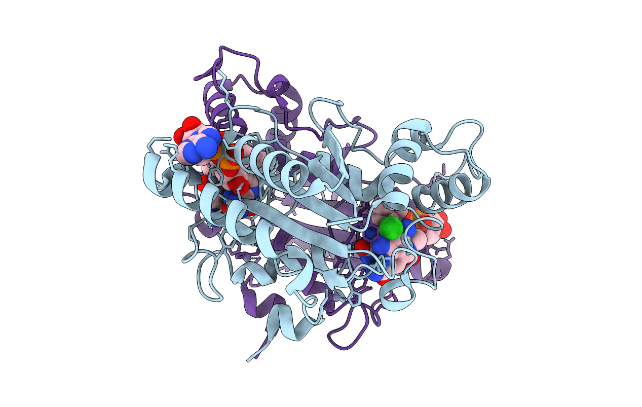 3UXH image