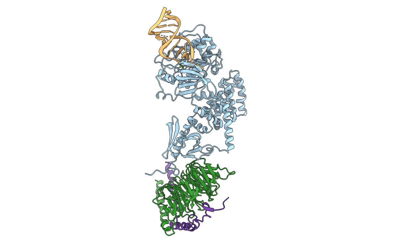 3UZS image