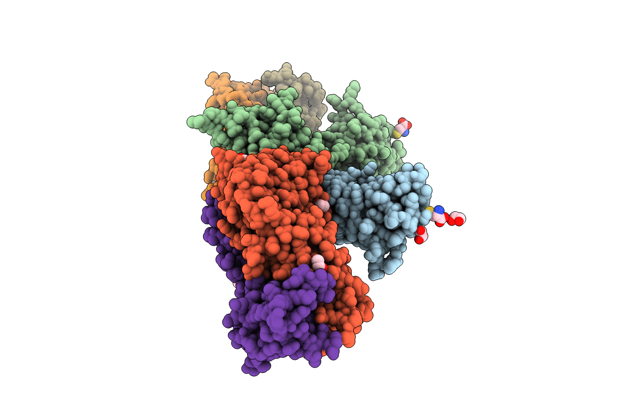 3V6O image