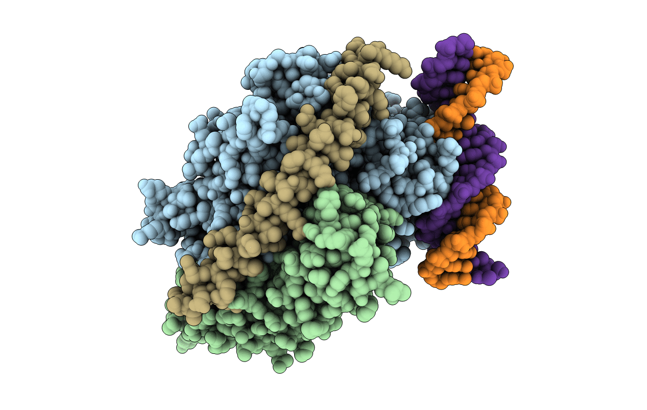 3V79 image