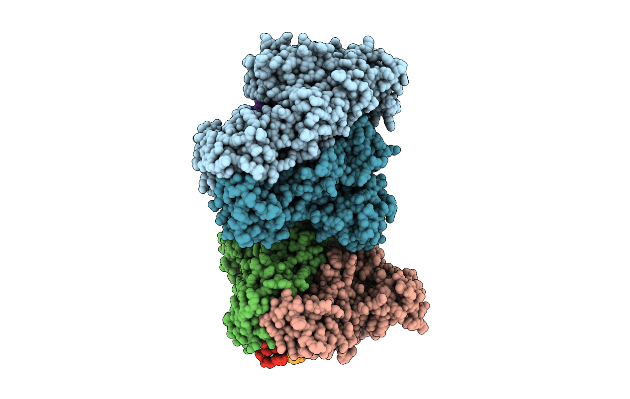 3V81 image