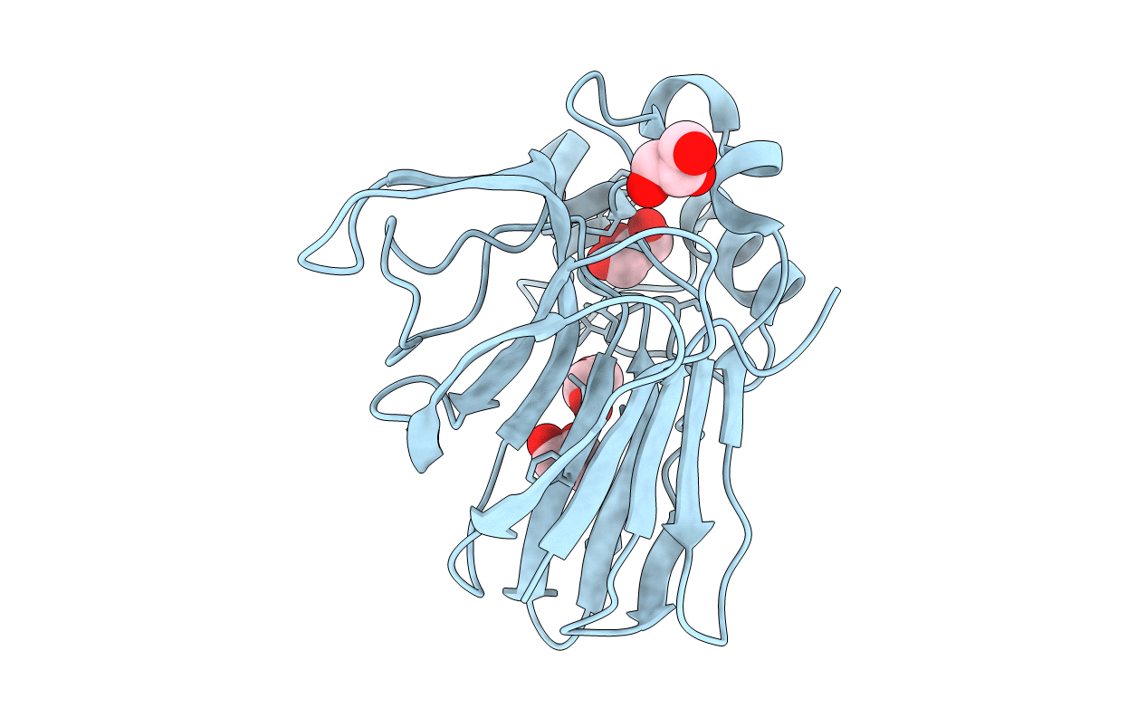 3V82 image
