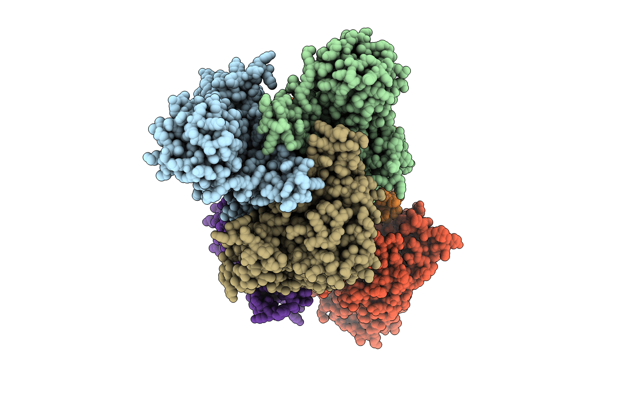 3V8G image