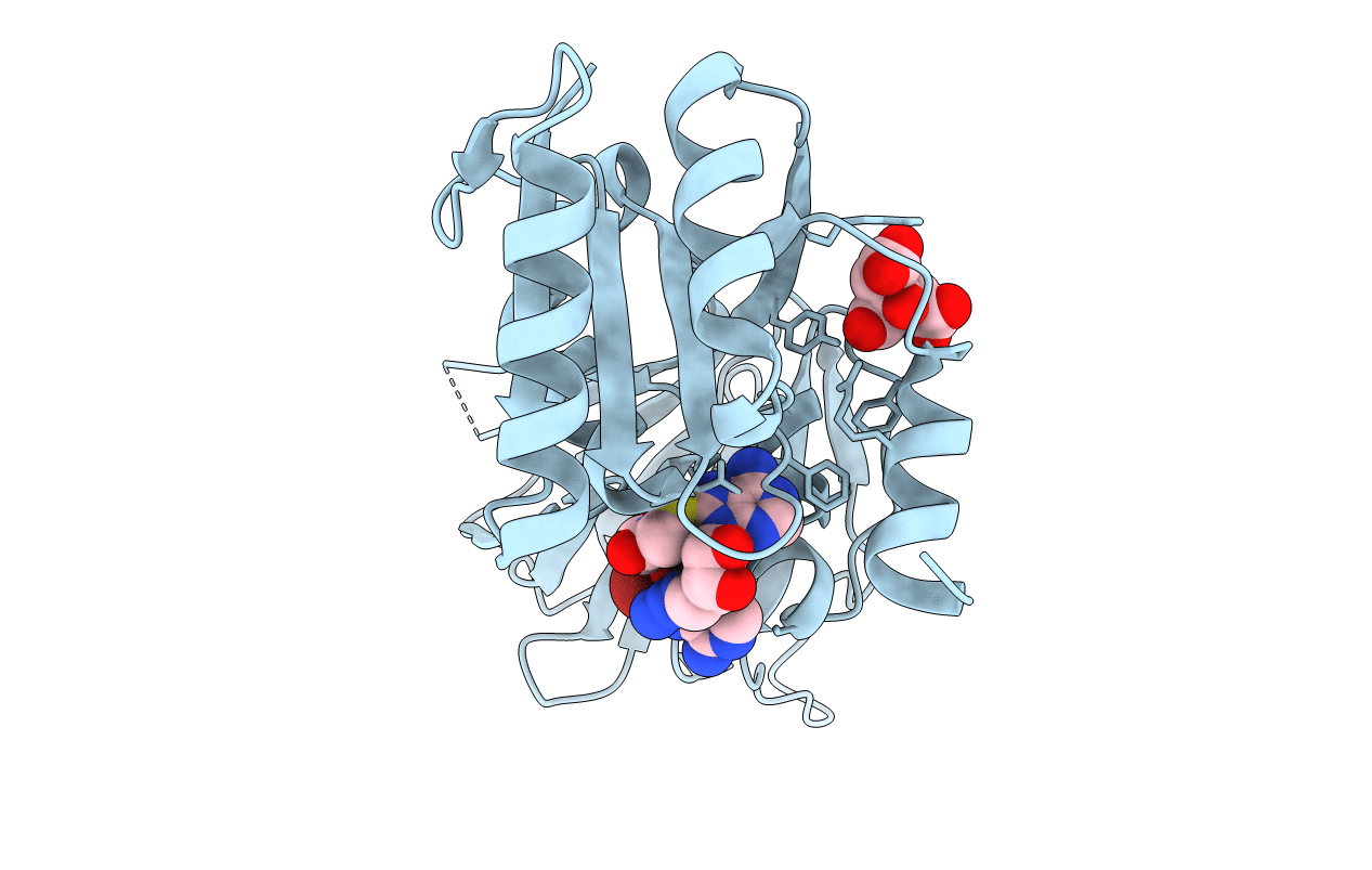 3V8P image