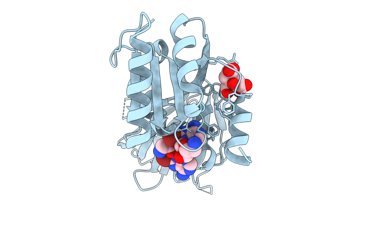 3V8R image