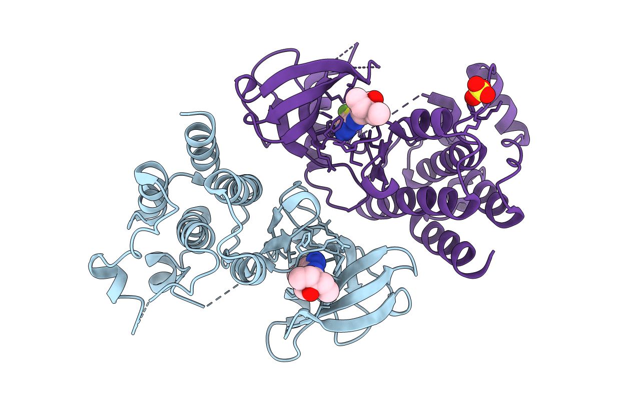 3V8T image