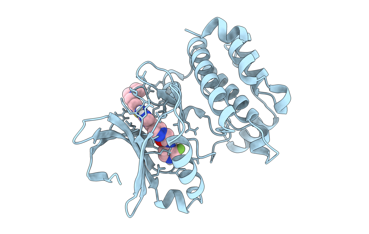 3VAP image