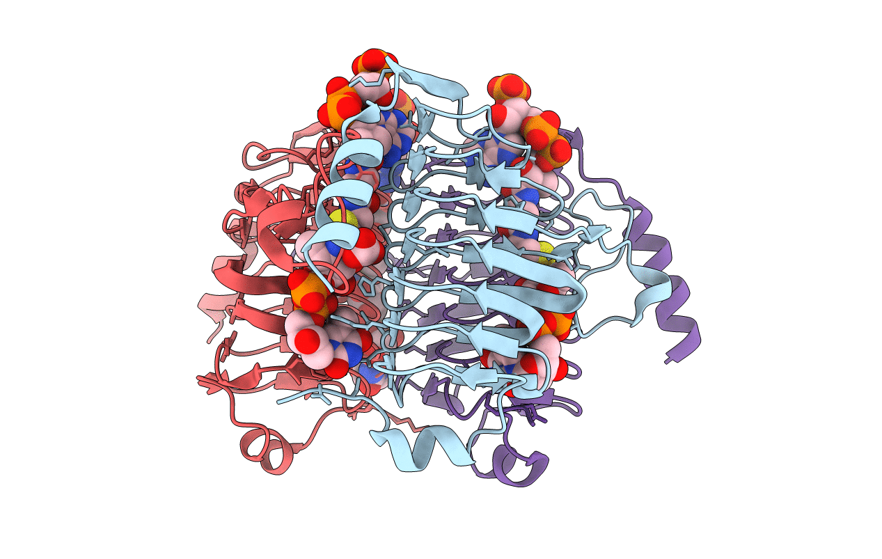 3VBI image
