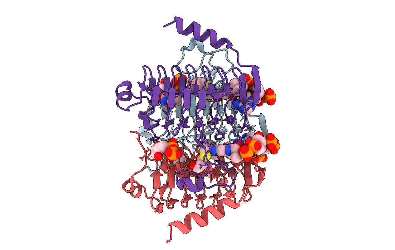3VBJ image