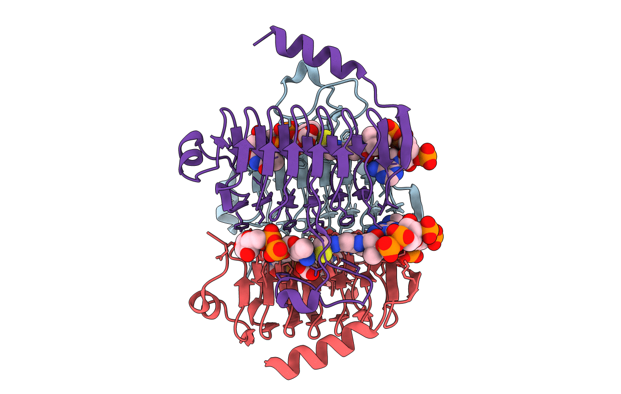 3VBK image