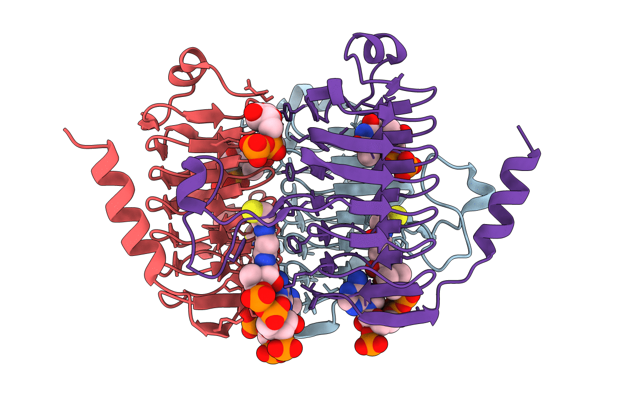 3VBP image