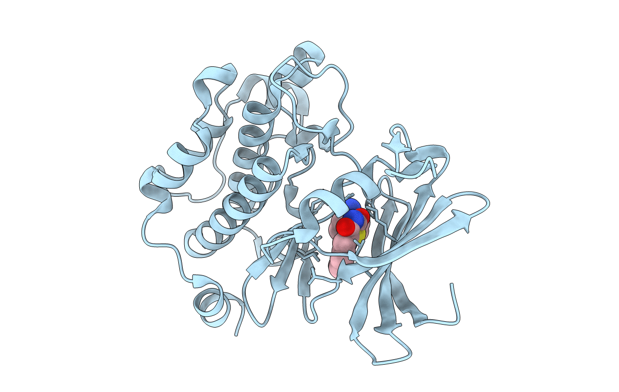 3VBQ image