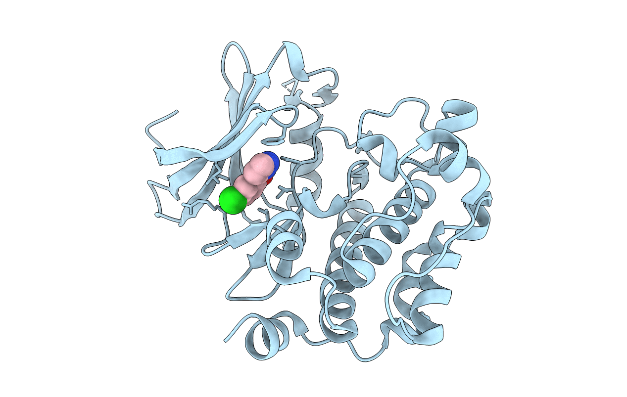3VBT image