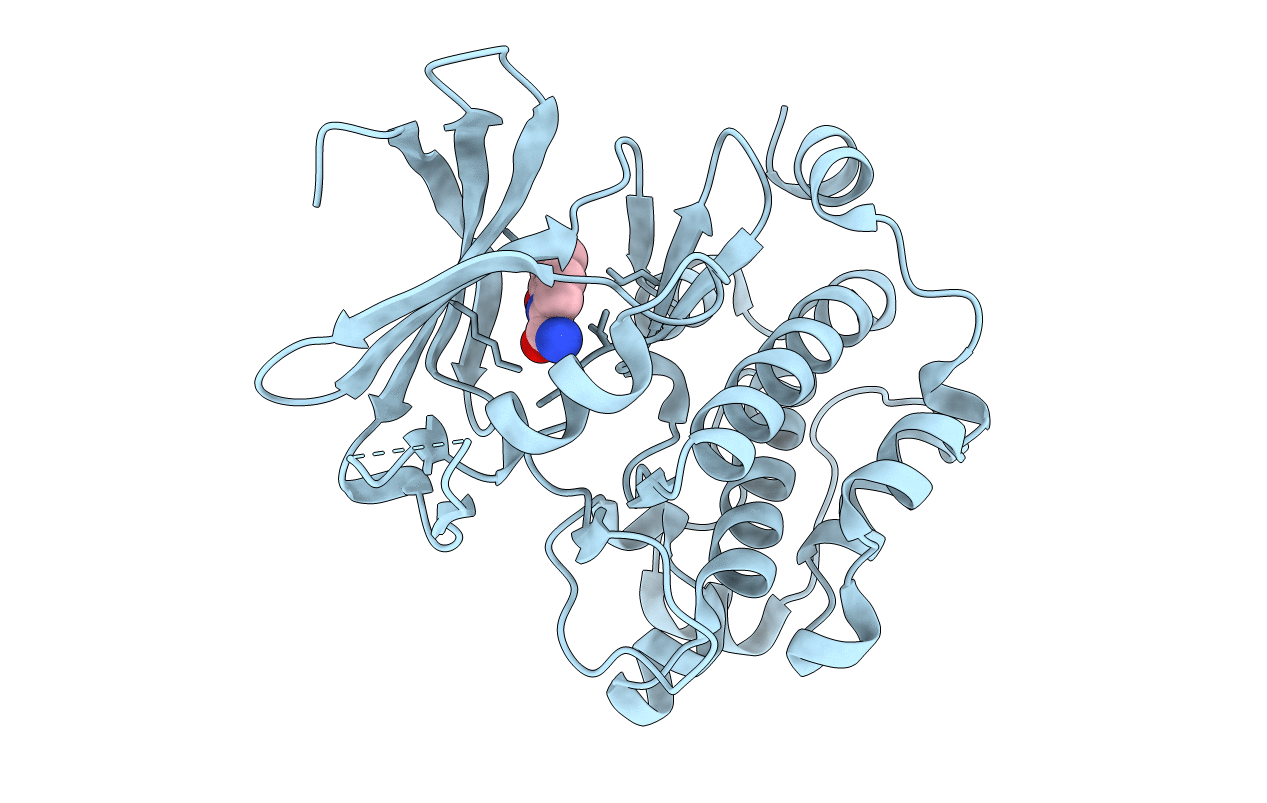3VBV image