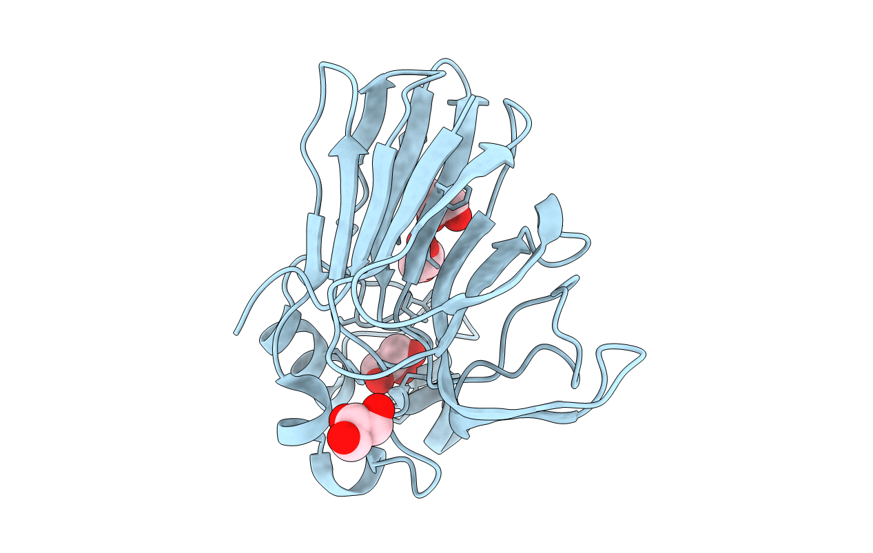 3VCJ image