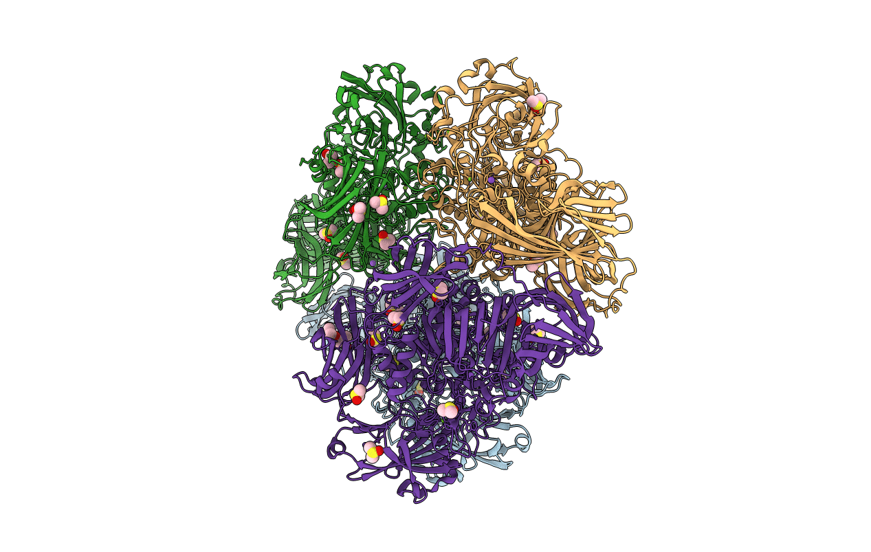 3VDA image