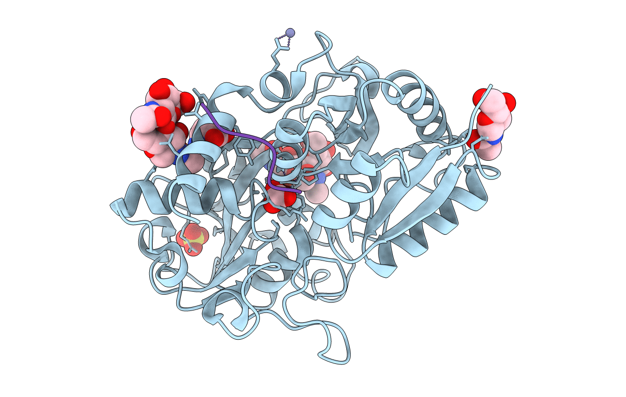 3VDF image