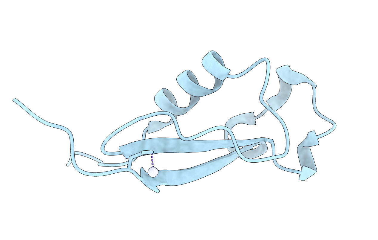 3VDK image