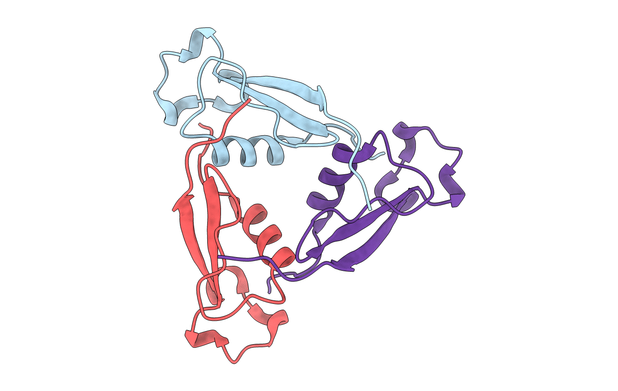 3VDL image