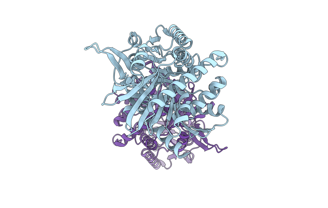 3VDM image