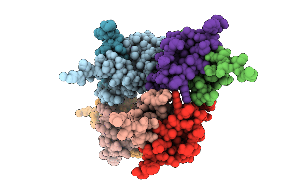3VEP image