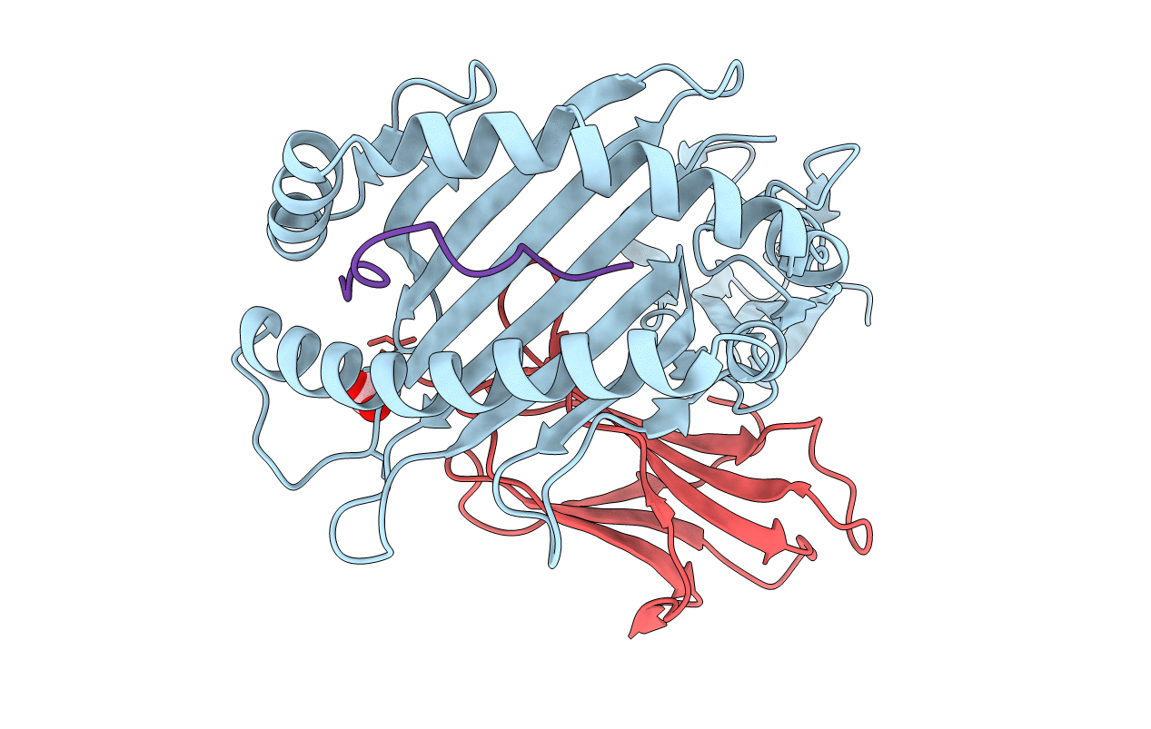 3VFP image