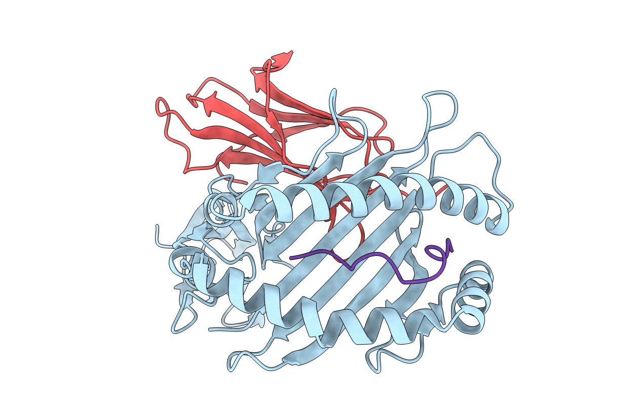 3VFV image