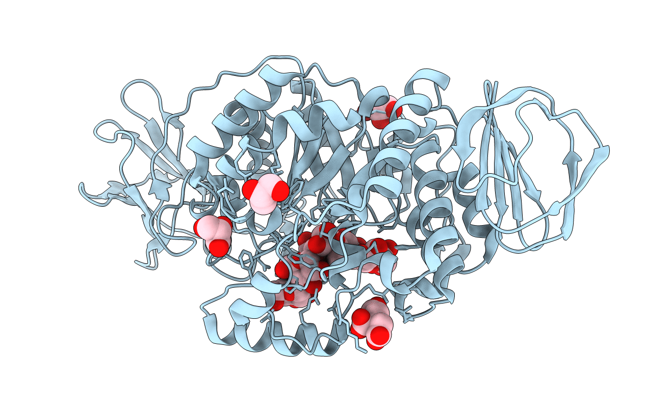 3VGH image