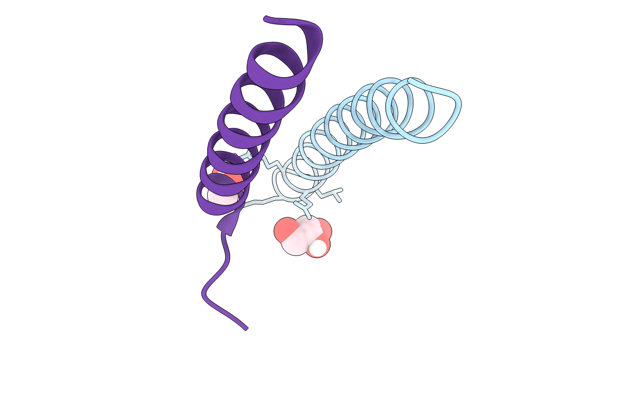 3vgx image