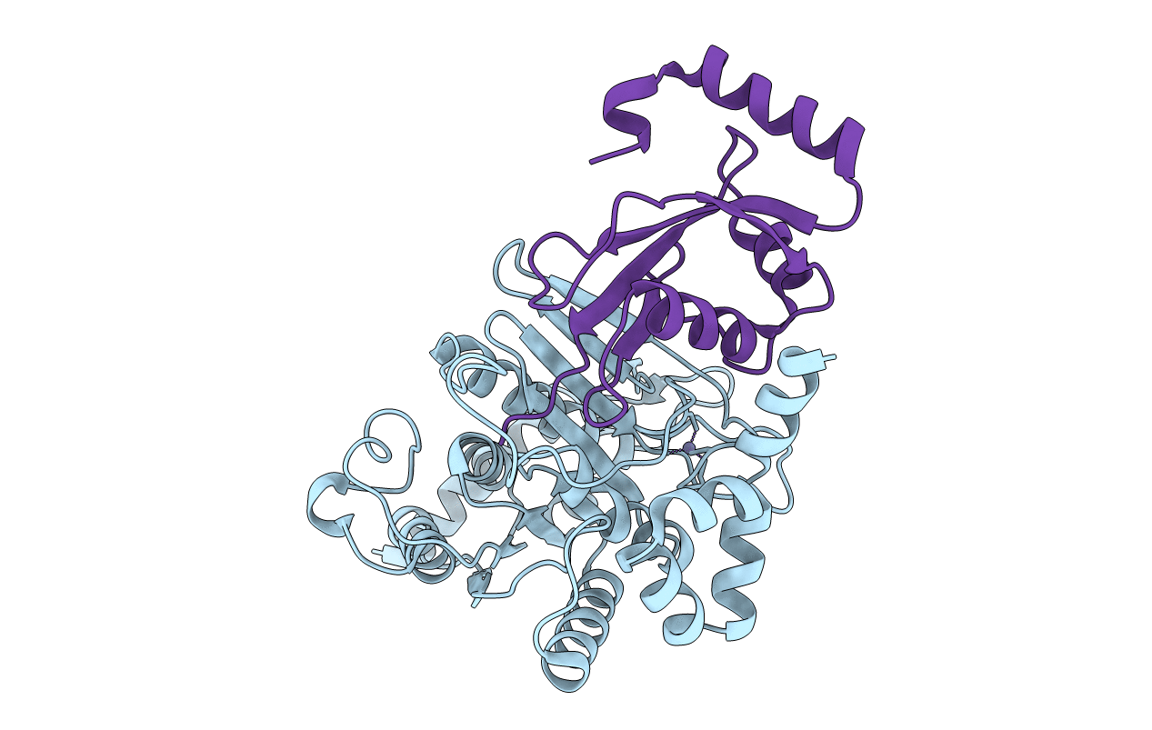 3VH3 image