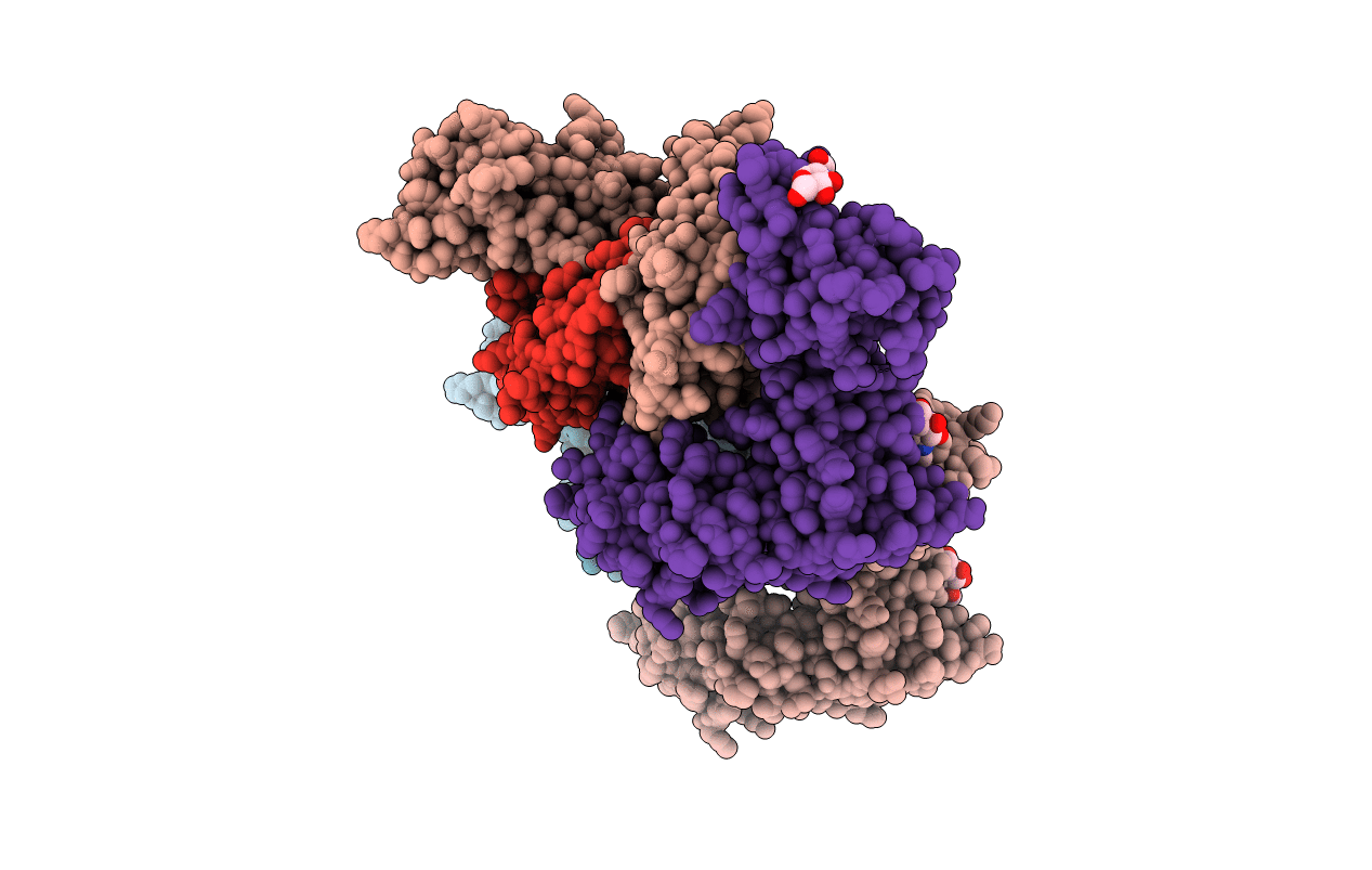 3VH8 image
