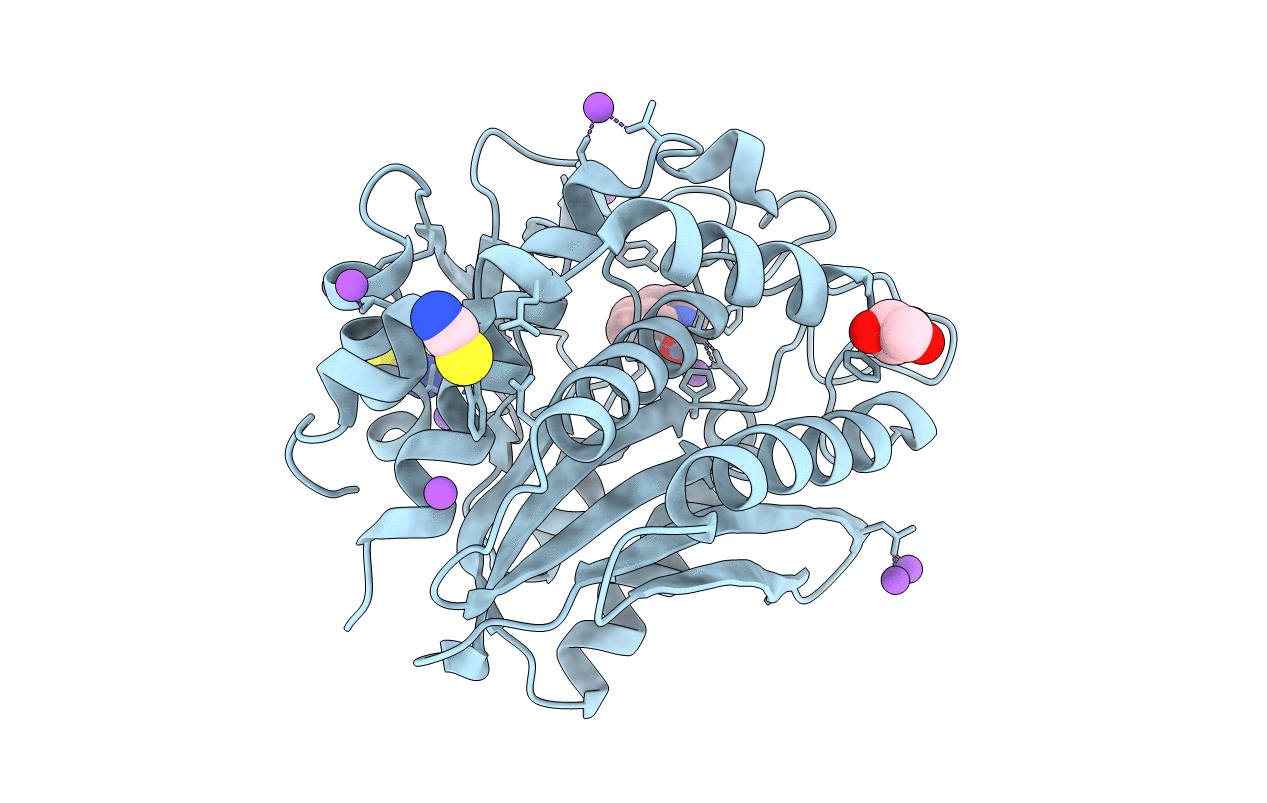 3VH9 image