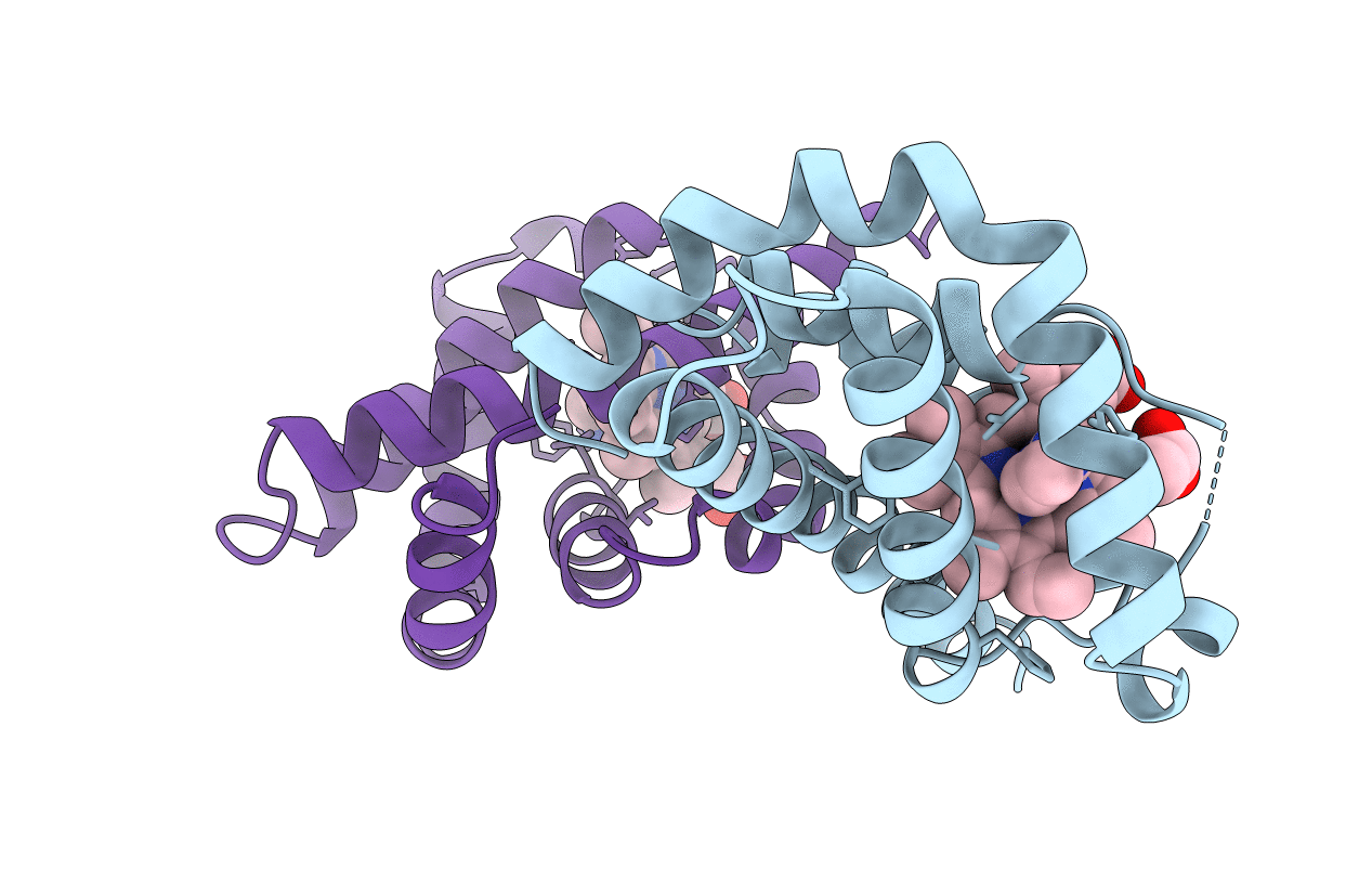 3VHB image
