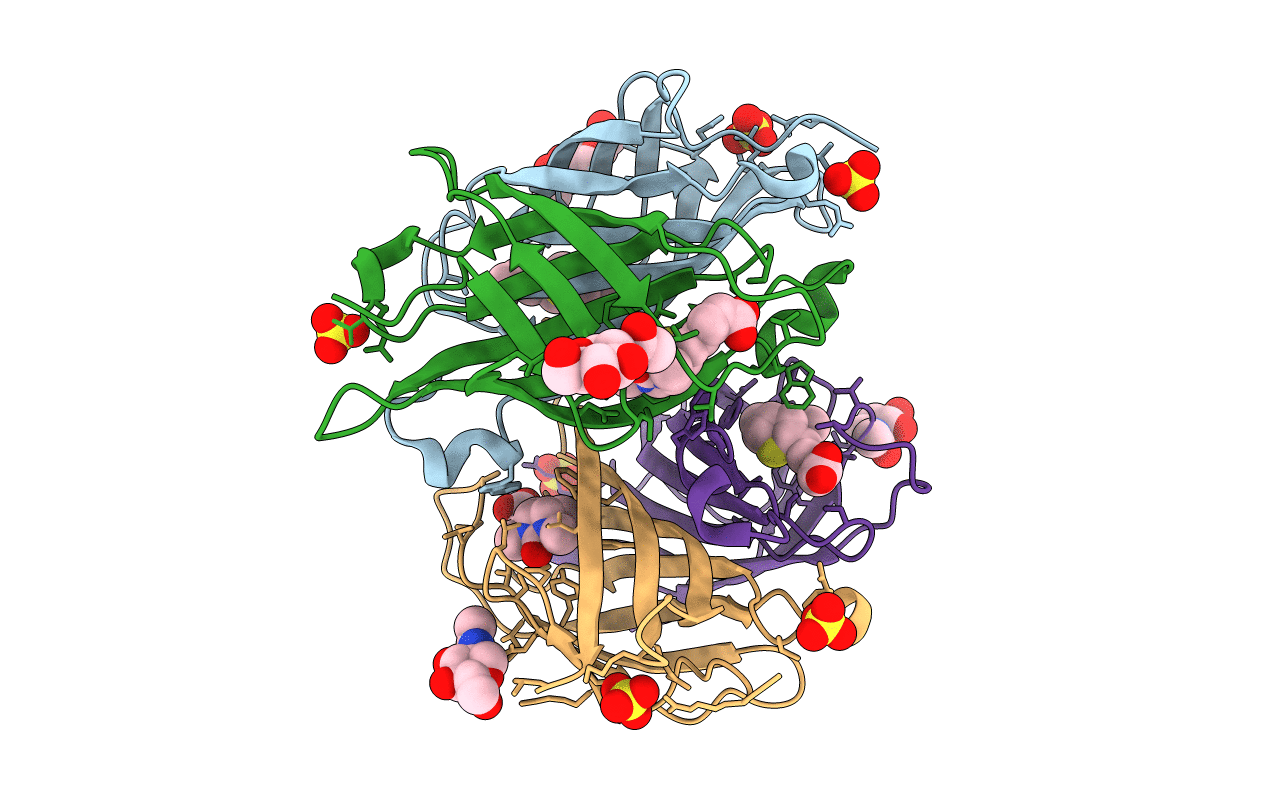 3VHH image