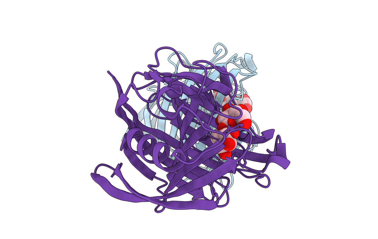 3VHP image