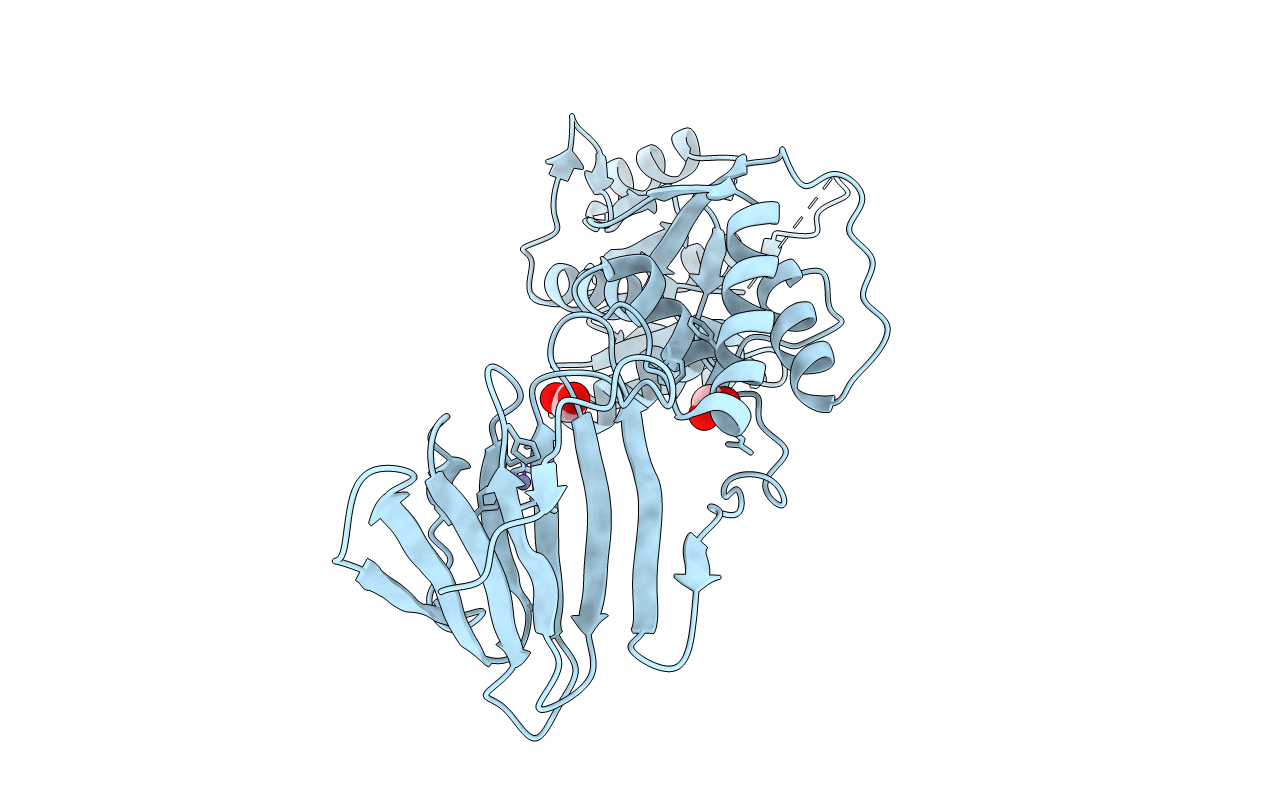 3VHR image