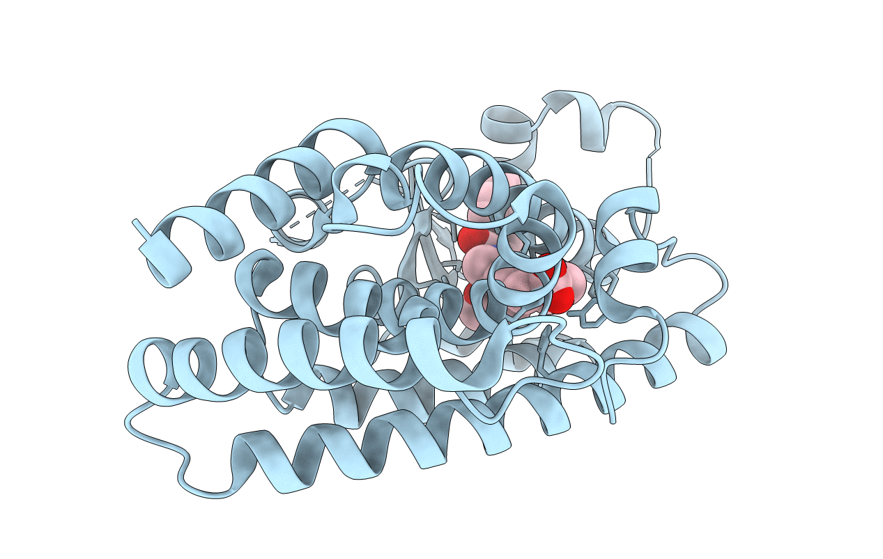 3vi8 image