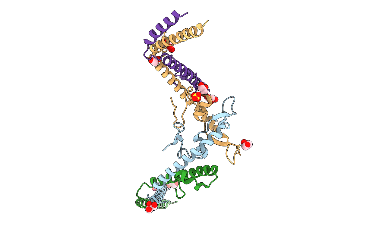 3VIQ image
