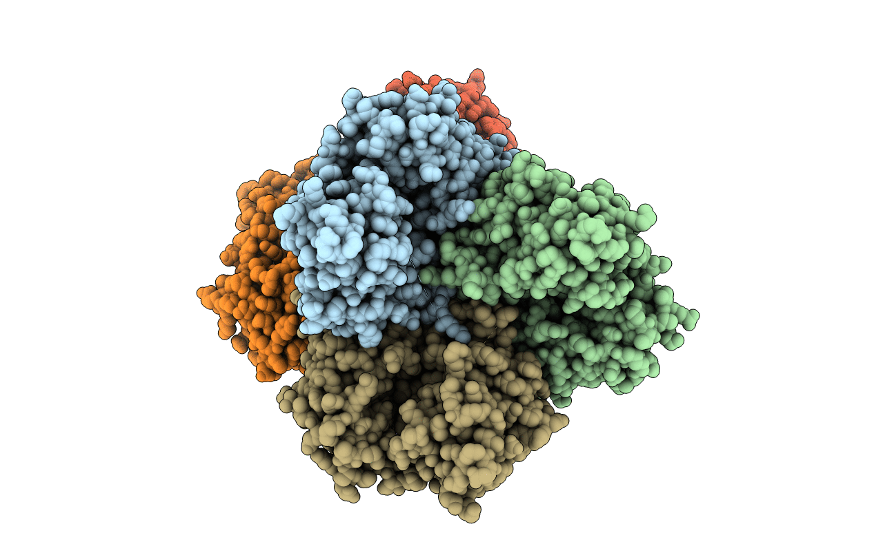 3VJB image