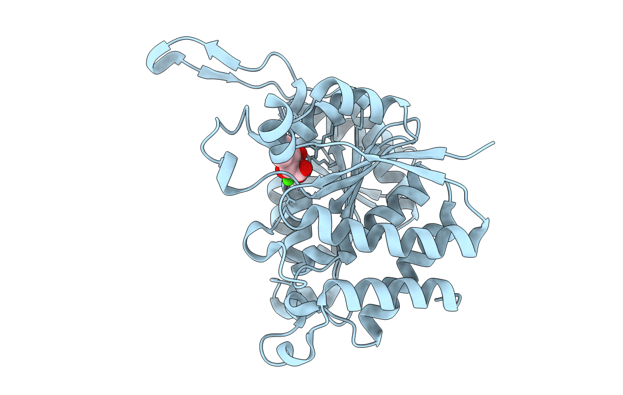 3VL4 image