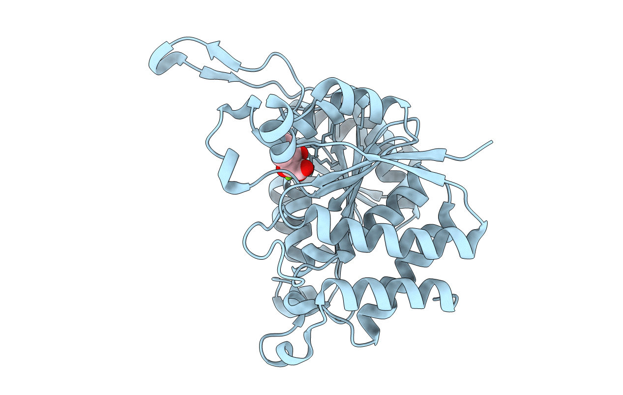 3VMJ image