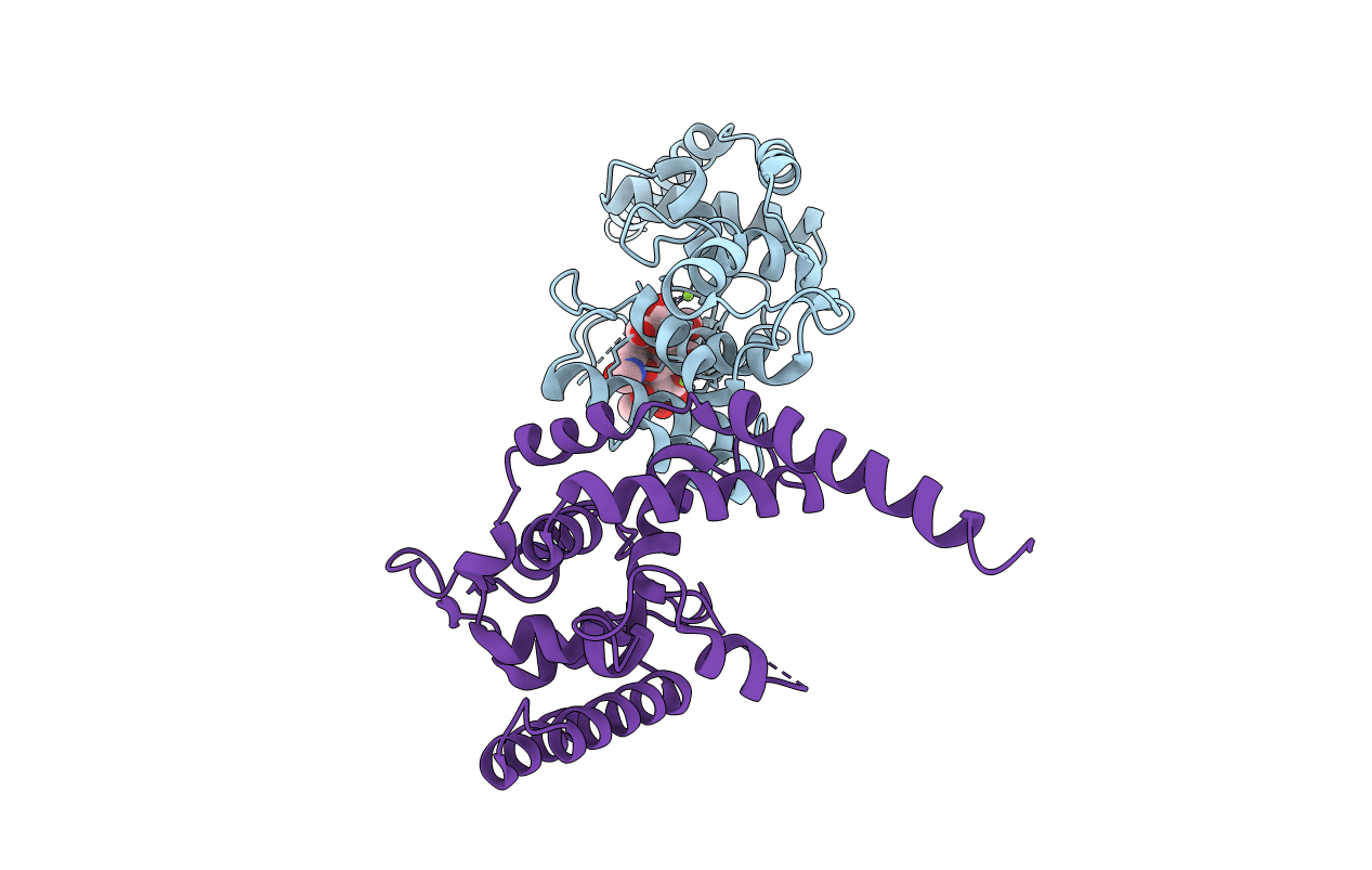 3VMT image